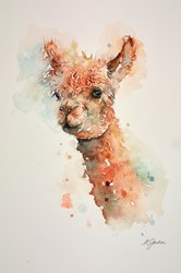 A Portrait of an Alpaca by Amanda Gordon - Original on Paper sized 13x19 inches. Available from Whitewall Galleries